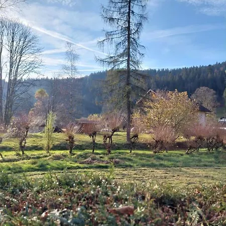 Joli T2, La Clairiere Du Lac, Rez De Jardin, Terrasse Fermee, Parking * Gérardmer