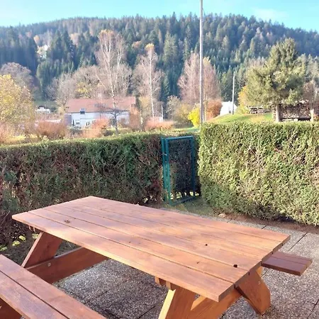 Διαμέρισμα Joli T2, La Clairiere Du Lac, Rez De Jardin, Terrasse Fermee, Parking Gérardmer