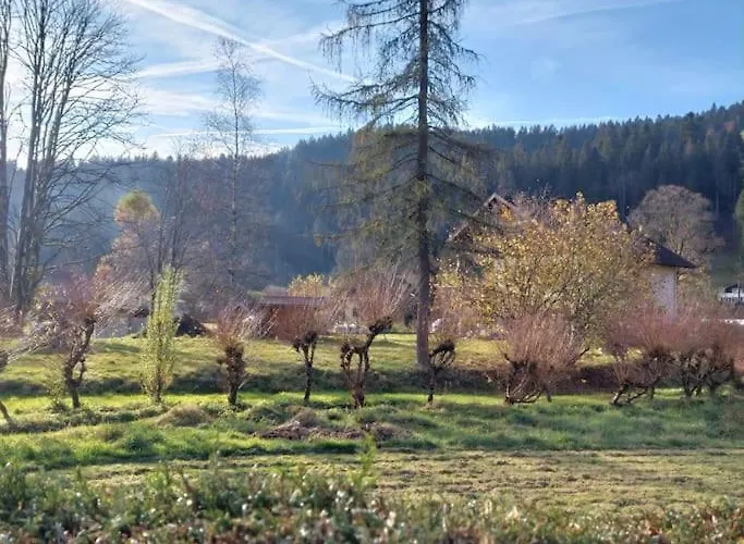 Joli T2, La Clairiere Du Lac, Rez De Jardin, Terrasse Fermee, Parking * 제라르메르